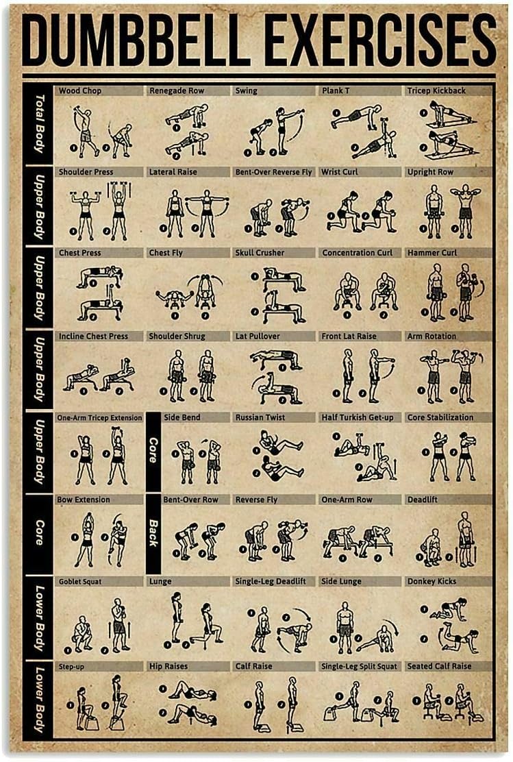 Sports Equipment Poster - JIUFOTK Poster Latihan Dumbbell Pengetahuan Kebugaran