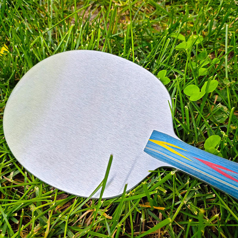 Pelat Dasar Tenis Meja dari Pa - Allsports Equipment ulasan dan harga