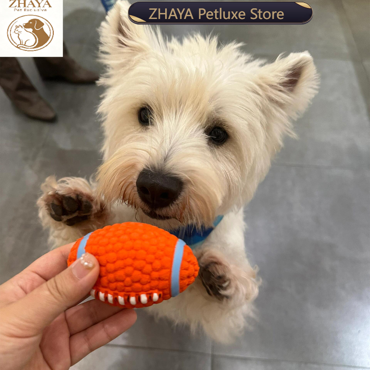 Bola Interaktif Anjing ZHAYA,  - Rugby Training Ball ulasan dan harga