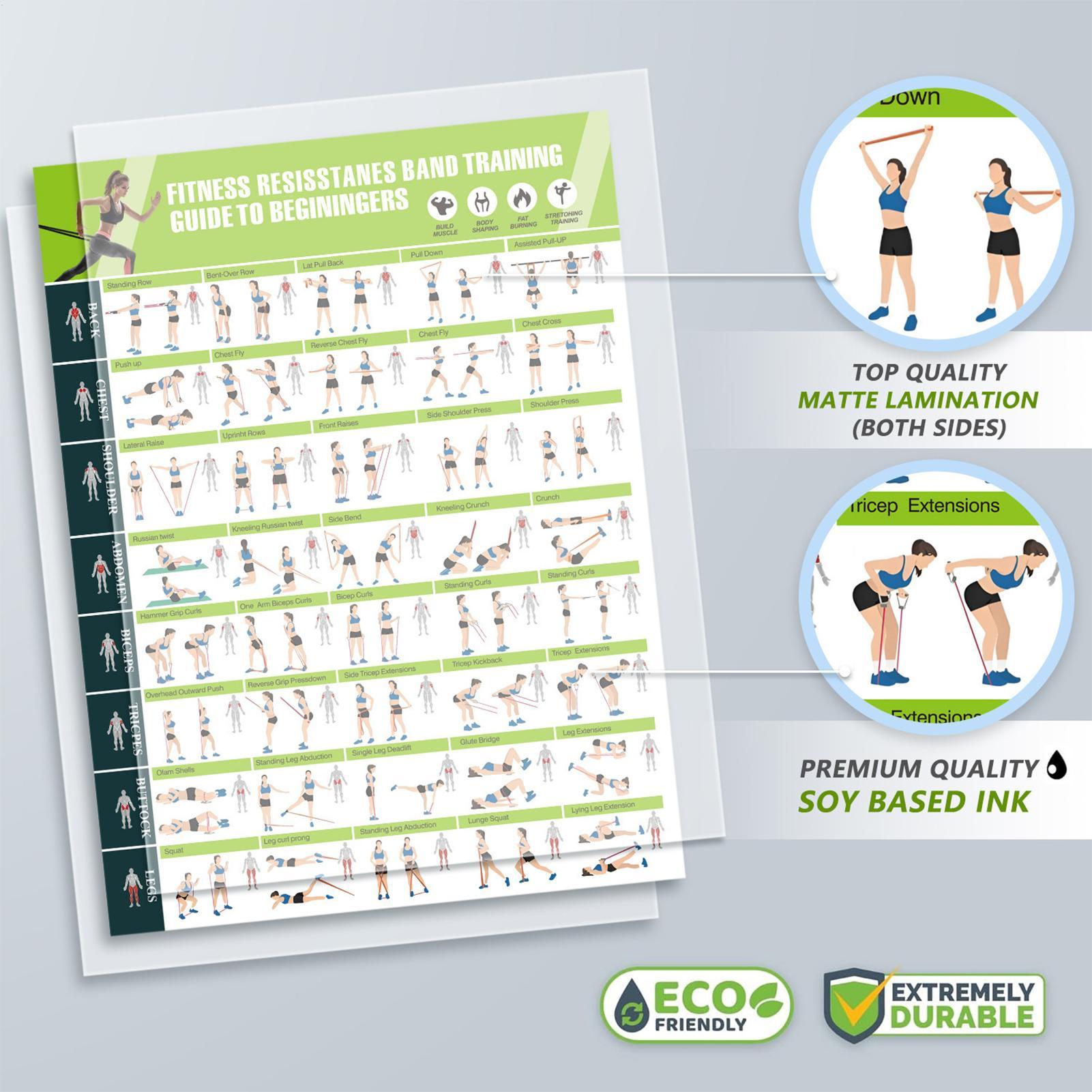 Poster Latihan dengan Panduan  - Sports Equipment Poster ulasan dan harga