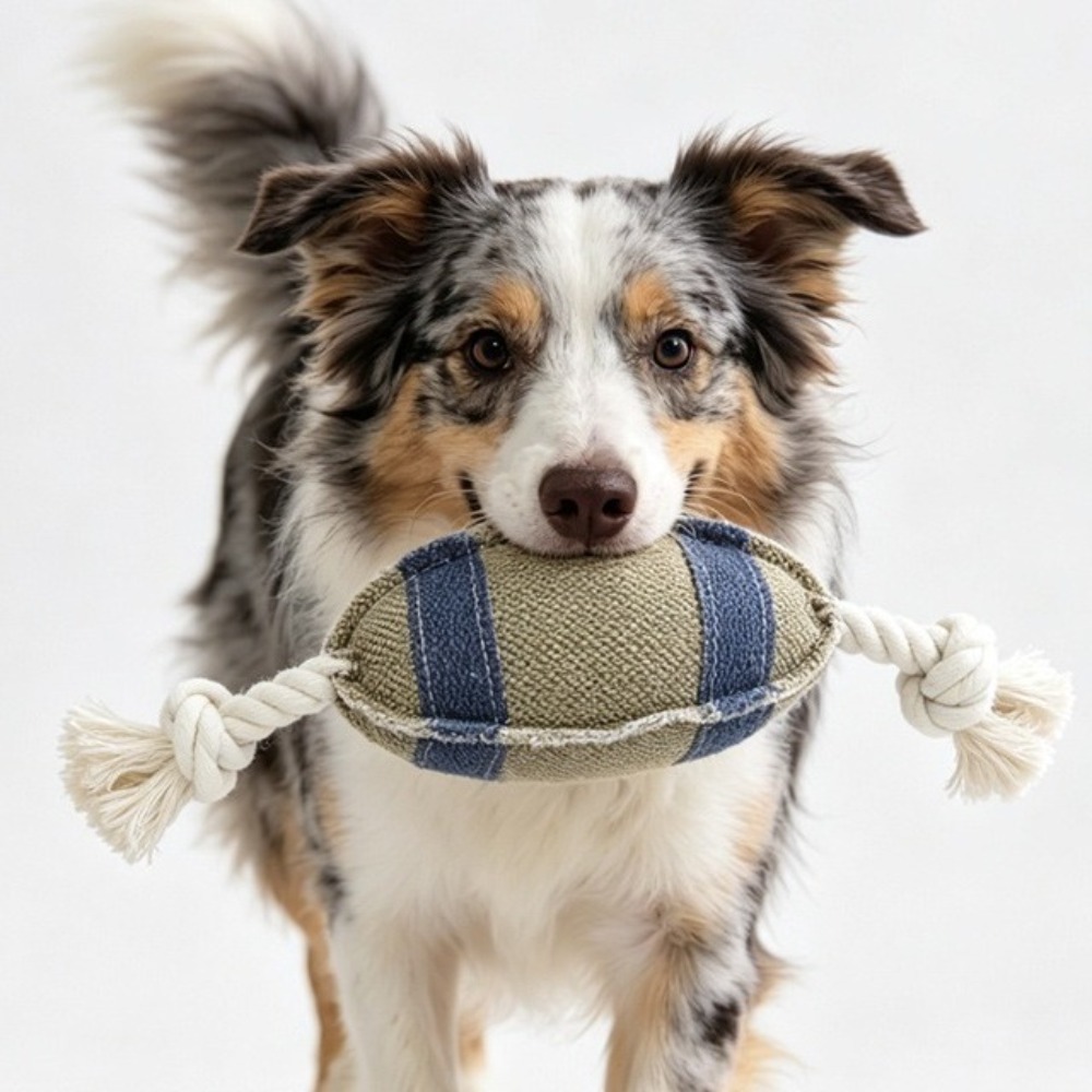 Bola Gigit Anjing Tahan Gigita - Rugby Training Ball ulasan dan harga
