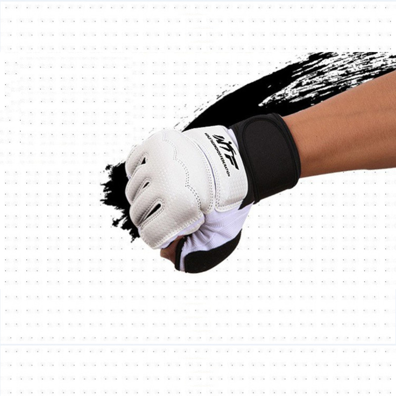 GINGPAI Sarung Tangan Taekwond - Boxing Glove Set ulasan dan harga